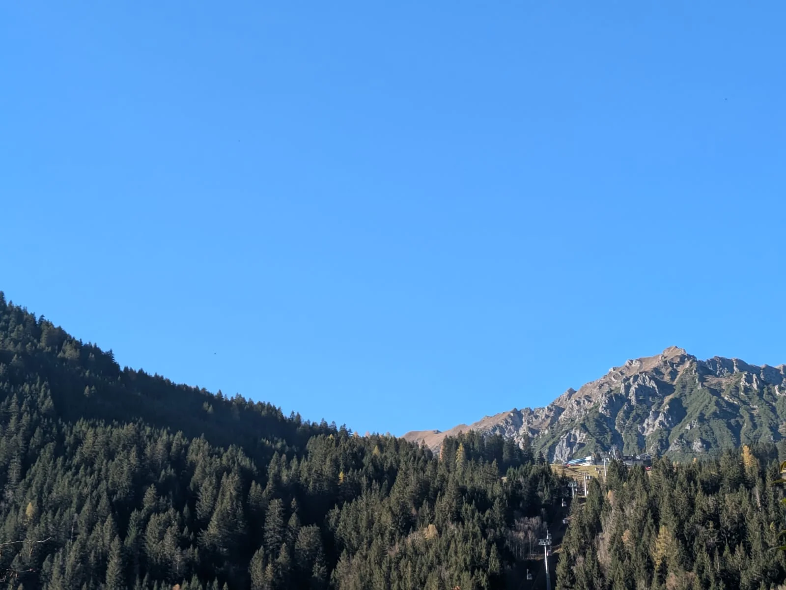 Bergwald unter blauem Himmel